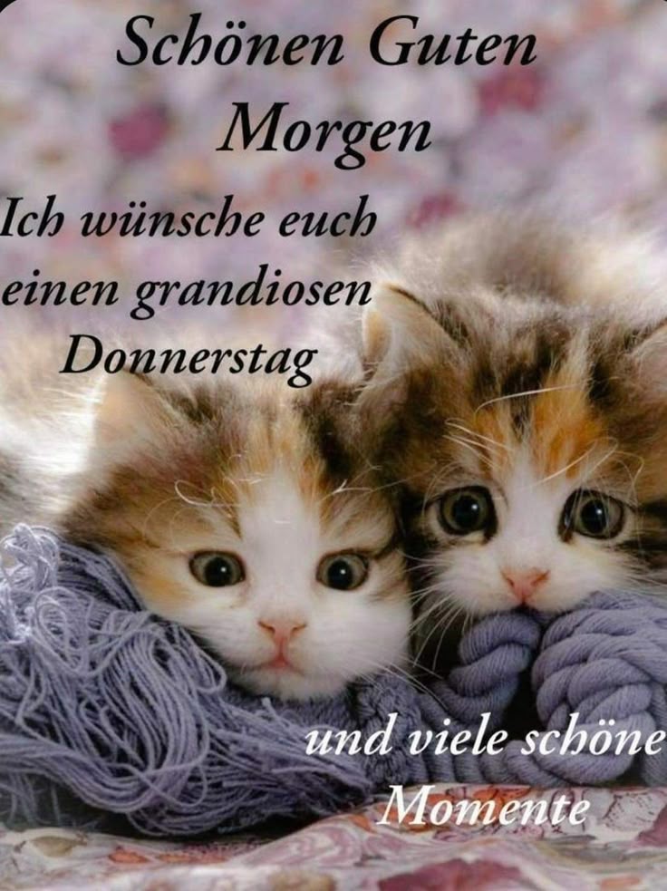 Schönen Donnerstag Bilder 107