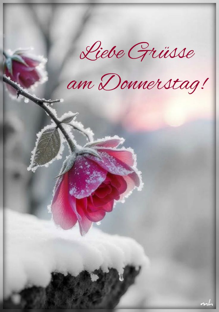 Schönen Donnerstag Bilder 146