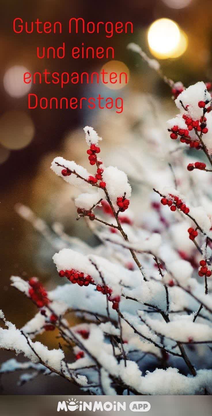 Schönen Donnerstag Bilder 28