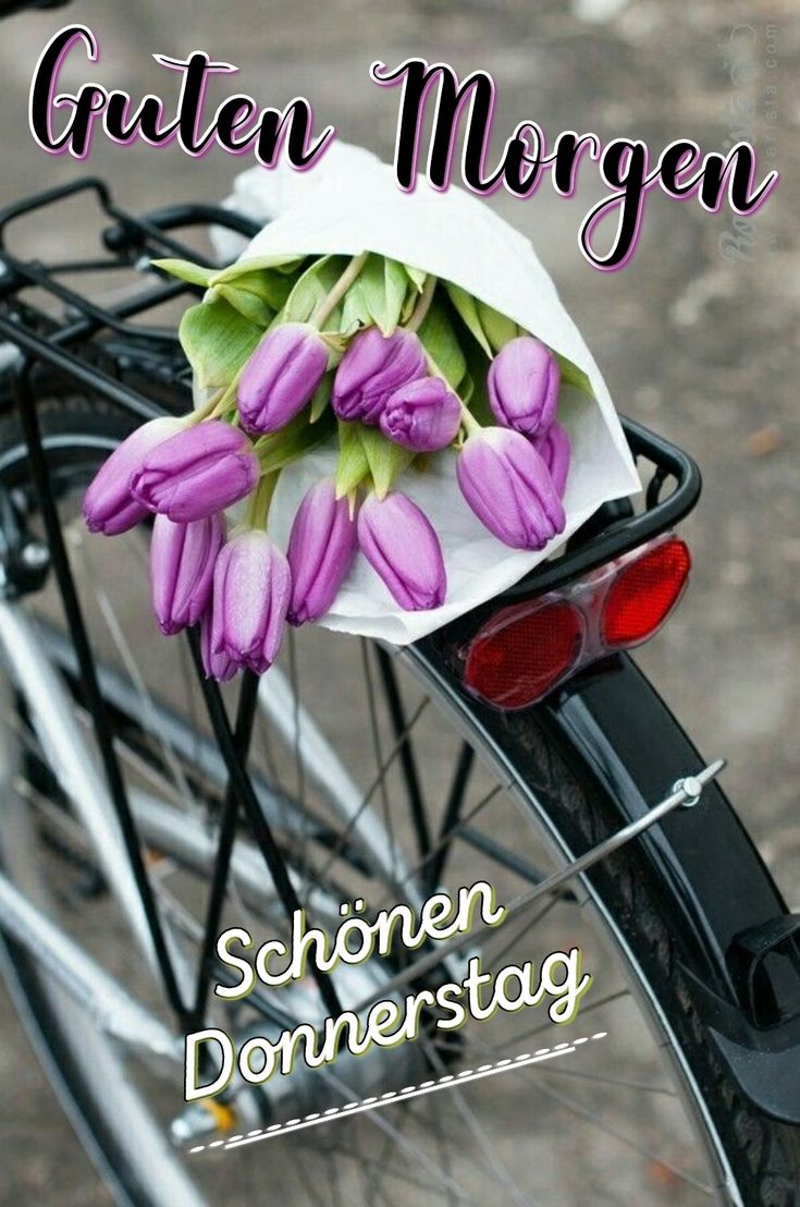 Schönen Donnerstag Bilder 87