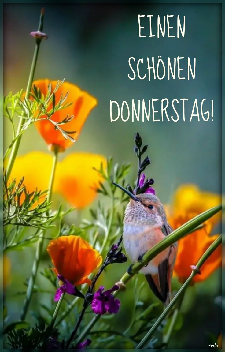 Schönen Donnerstag Bilder 9