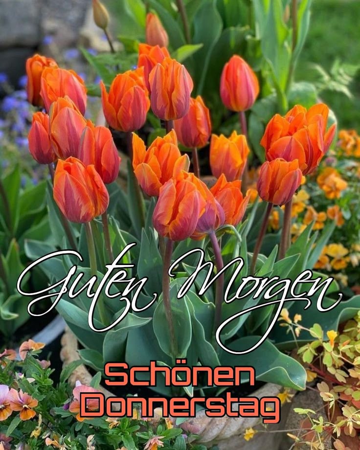 Schönen Donnerstag Bilder 92