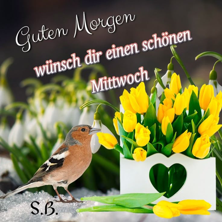 Schönen Mittwoch Bilder 106