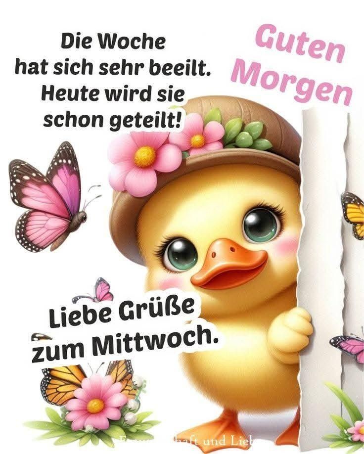 Schönen Mittwoch Bilder 122