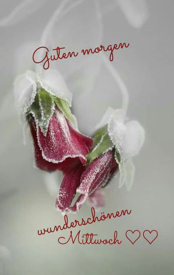 Schönen Mittwoch Bilder 133