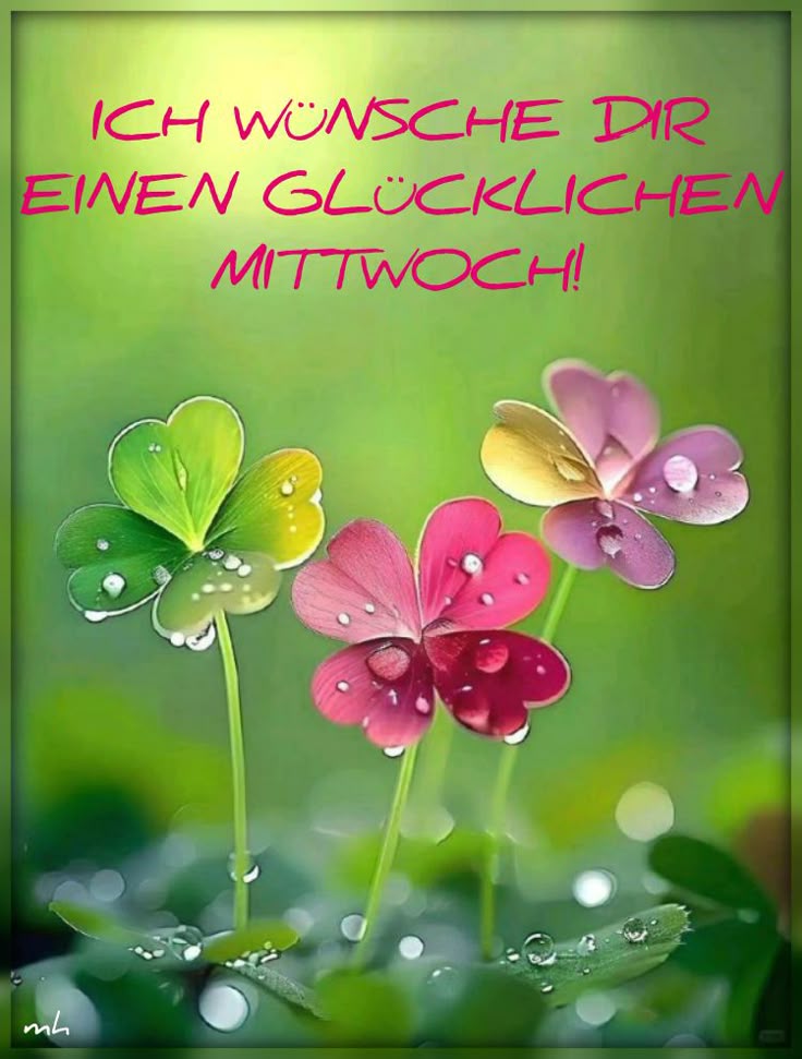 Schönen Mittwoch Bilder 26