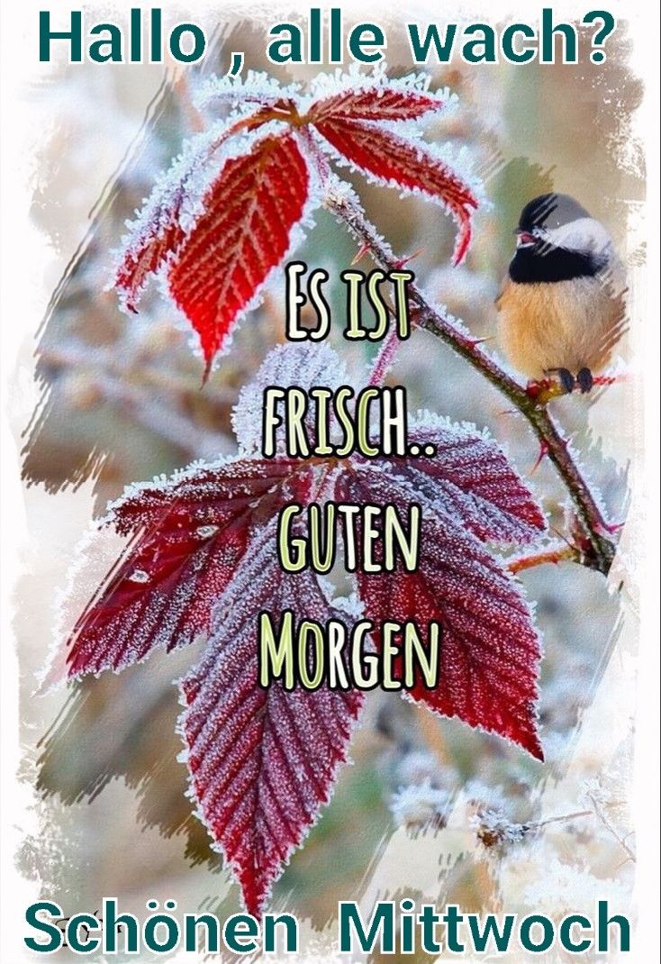 Schönen Mittwoch Bilder 40