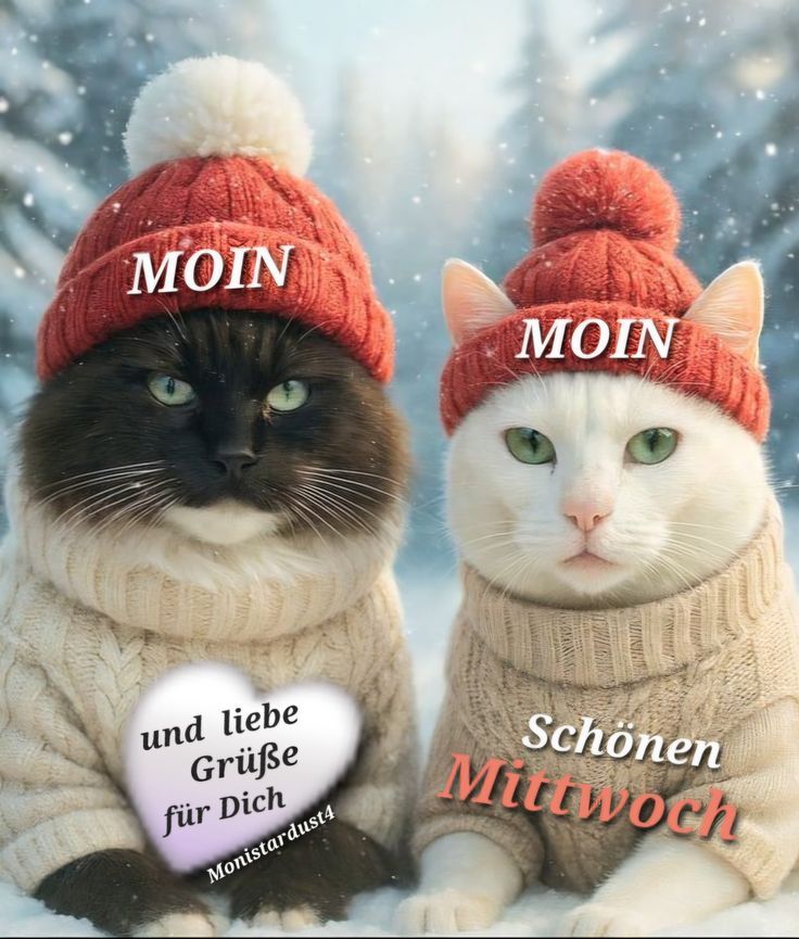 Schönen Mittwoch Bilder 59
