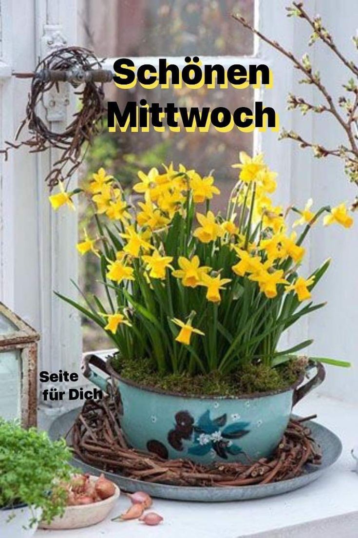Schönen Mittwoch Bilder 60