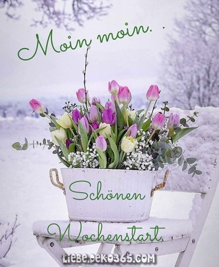 Schönen Montag Bilder 107