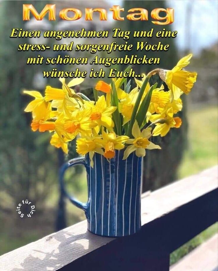 Schönen Montag Bilder 112