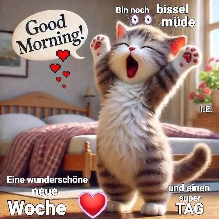 Schönen Montag Bilder 122