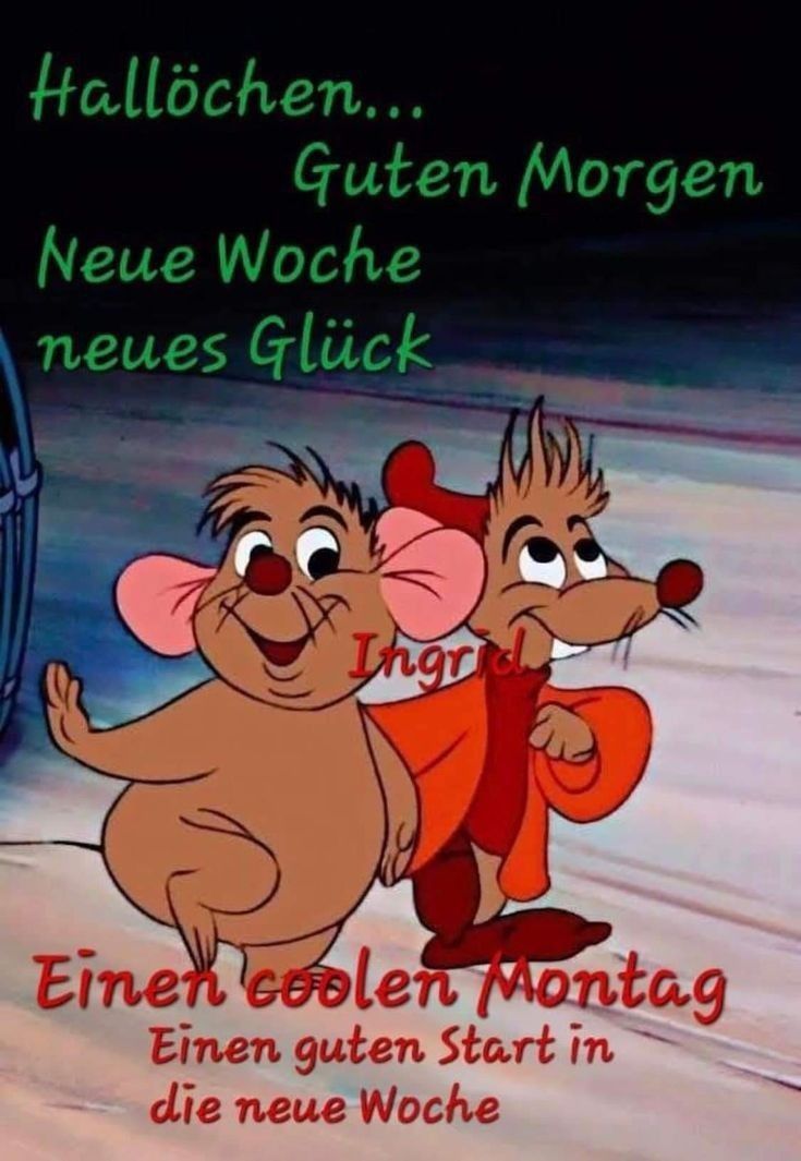 Schönen Montag Bilder 132