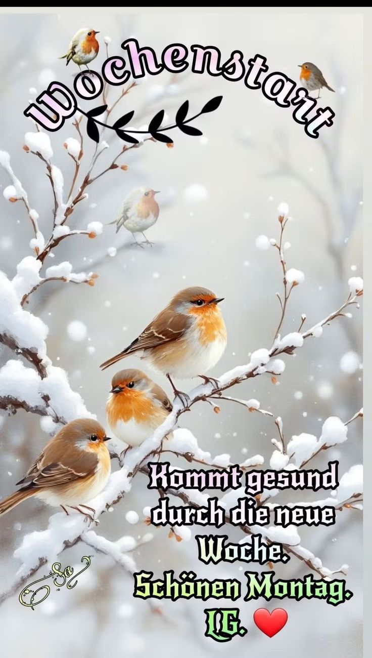 Schönen Montag Bilder 133