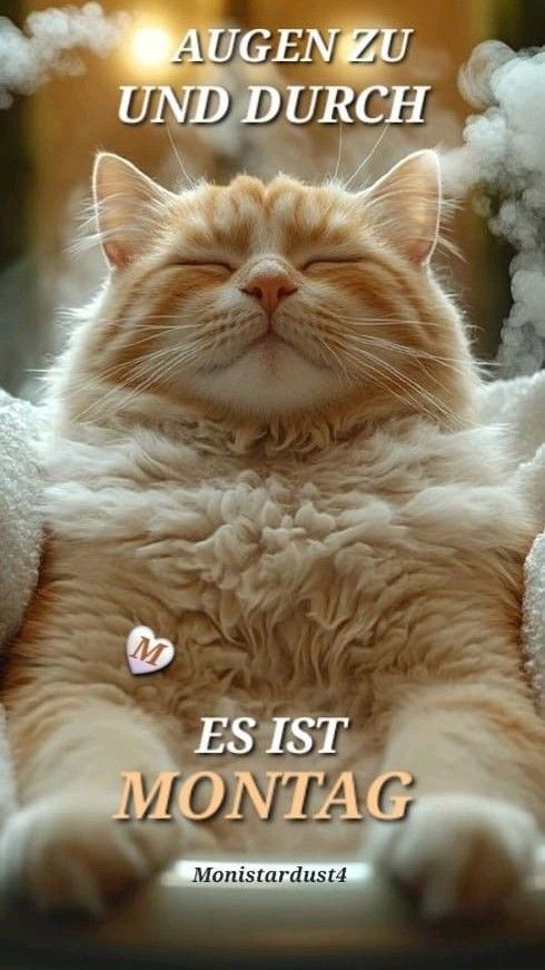 Schönen Montag Bilder 141