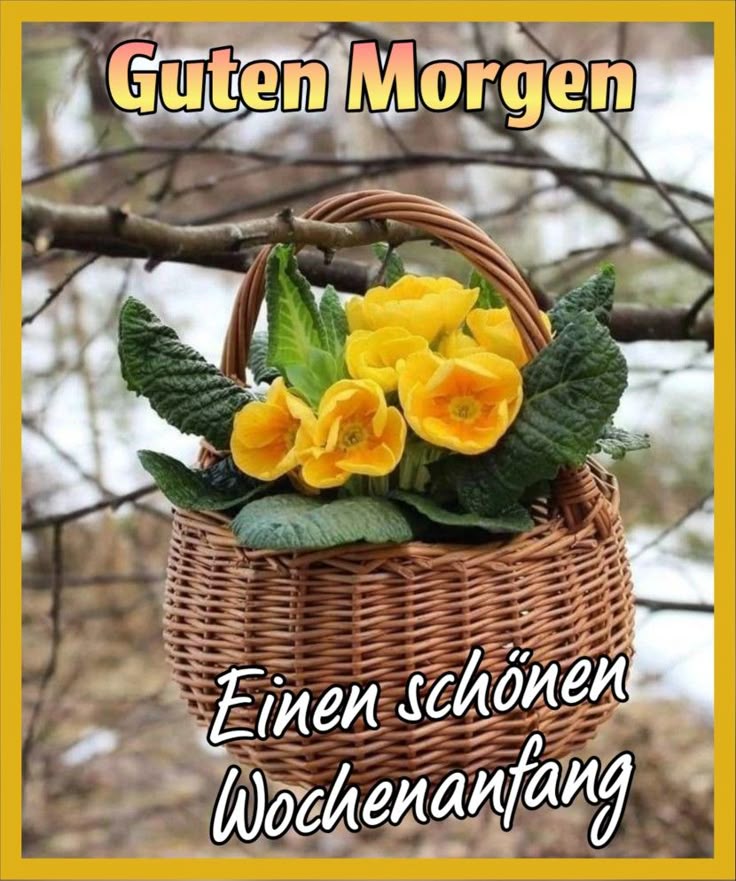 Schönen Montag Bilder 148