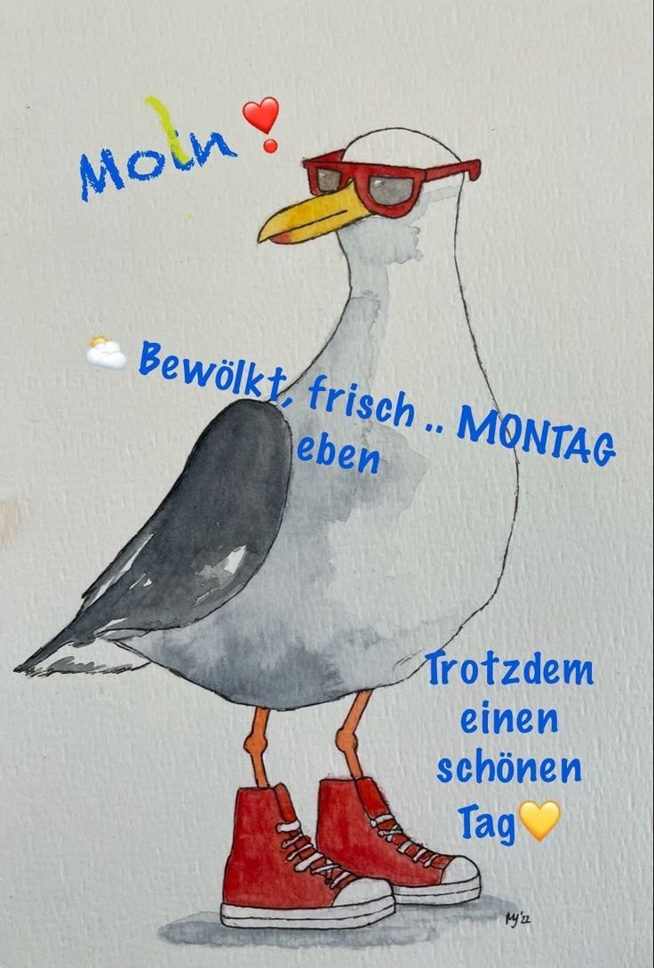 Schönen Montag Bilder 18