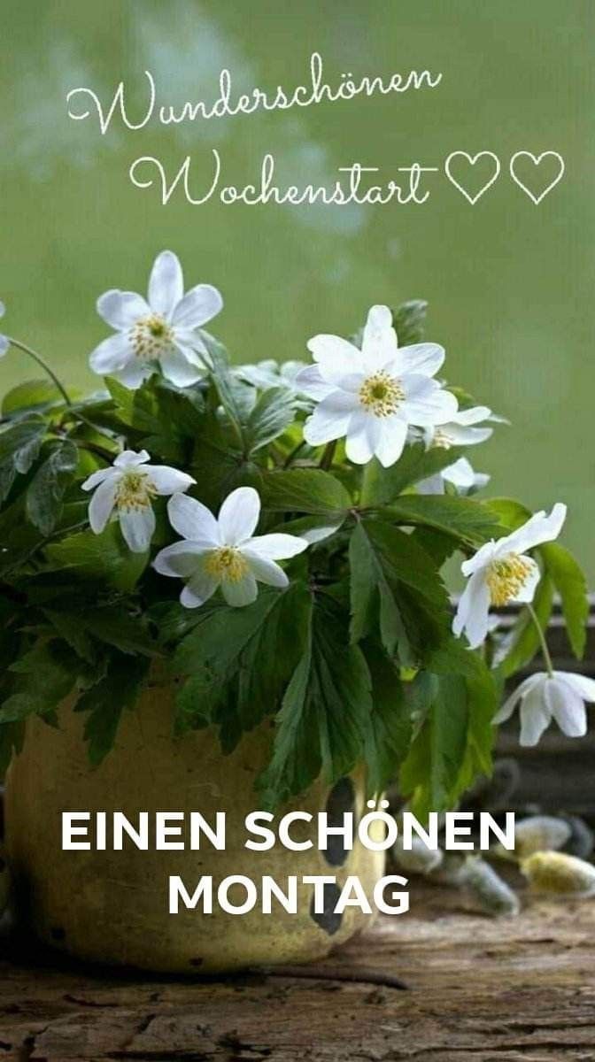 Schönen Montag Bilder 29