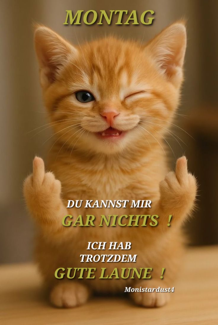 Schönen Montag Bilder 37
