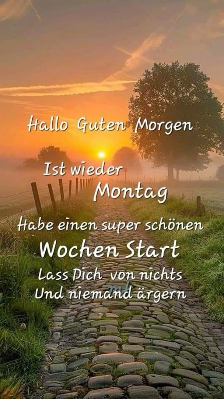 Schönen Montag Bilder 5
