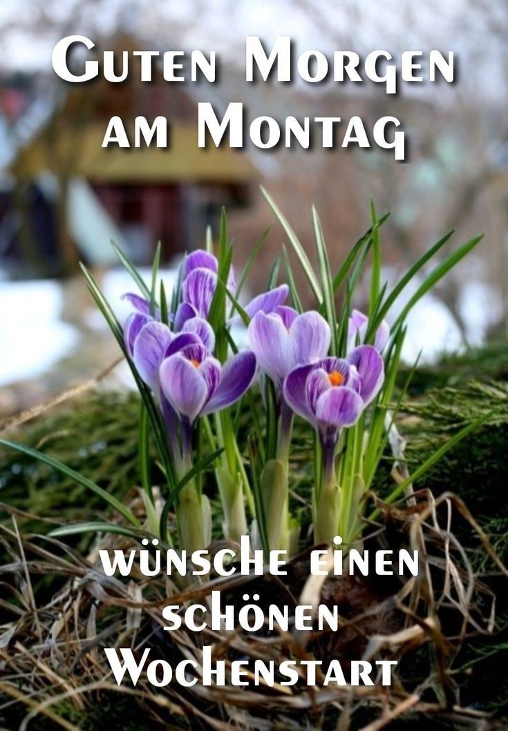 Schönen Montag Bilder 50