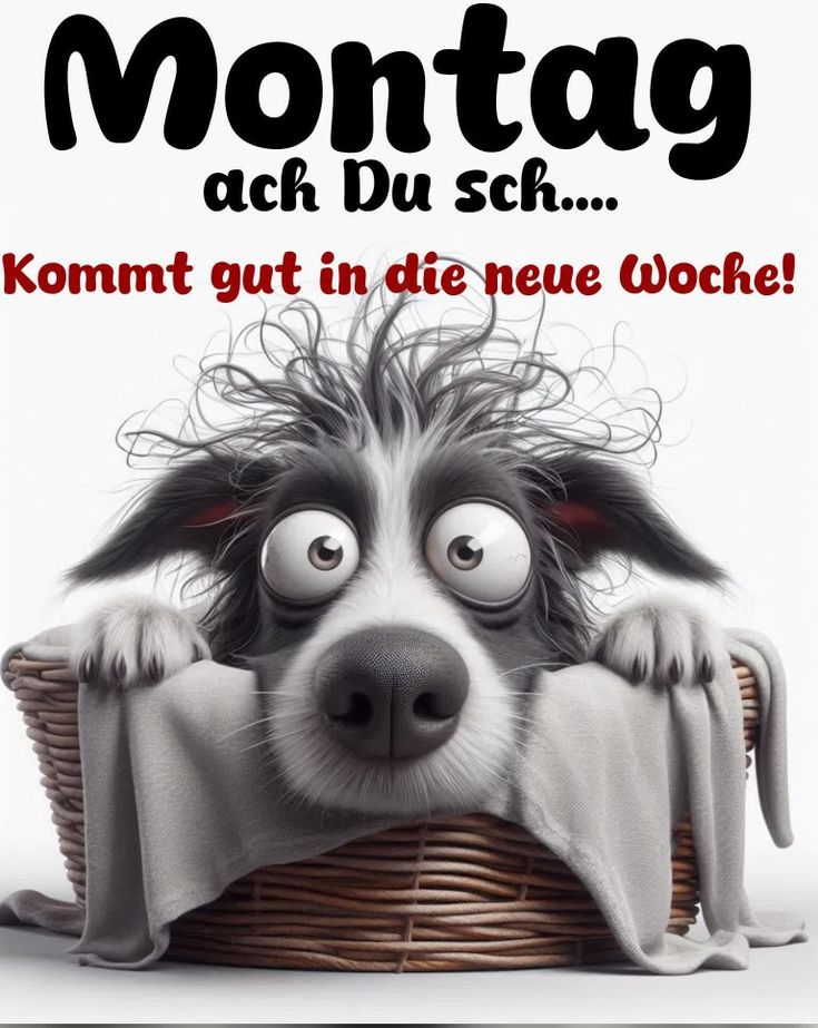 Schönen Montag Bilder 51