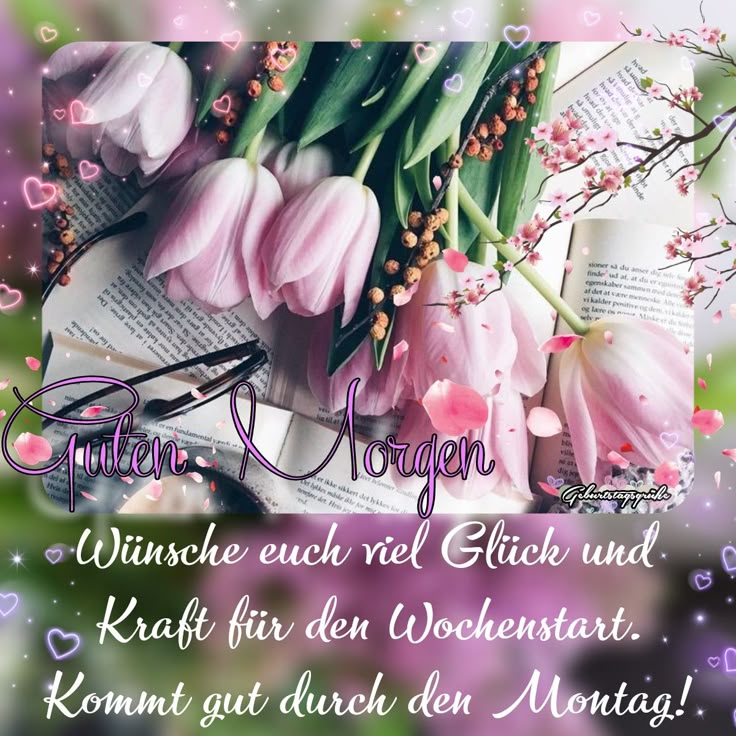 Schönen Montag Bilder 6