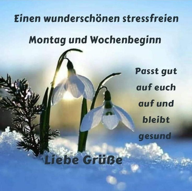 Schönen Montag Bilder 71
