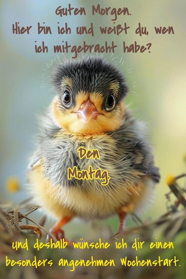 Schönen Montag Bilder 78
