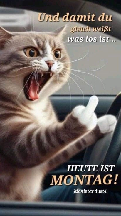 Schönen Montag Bilder 88