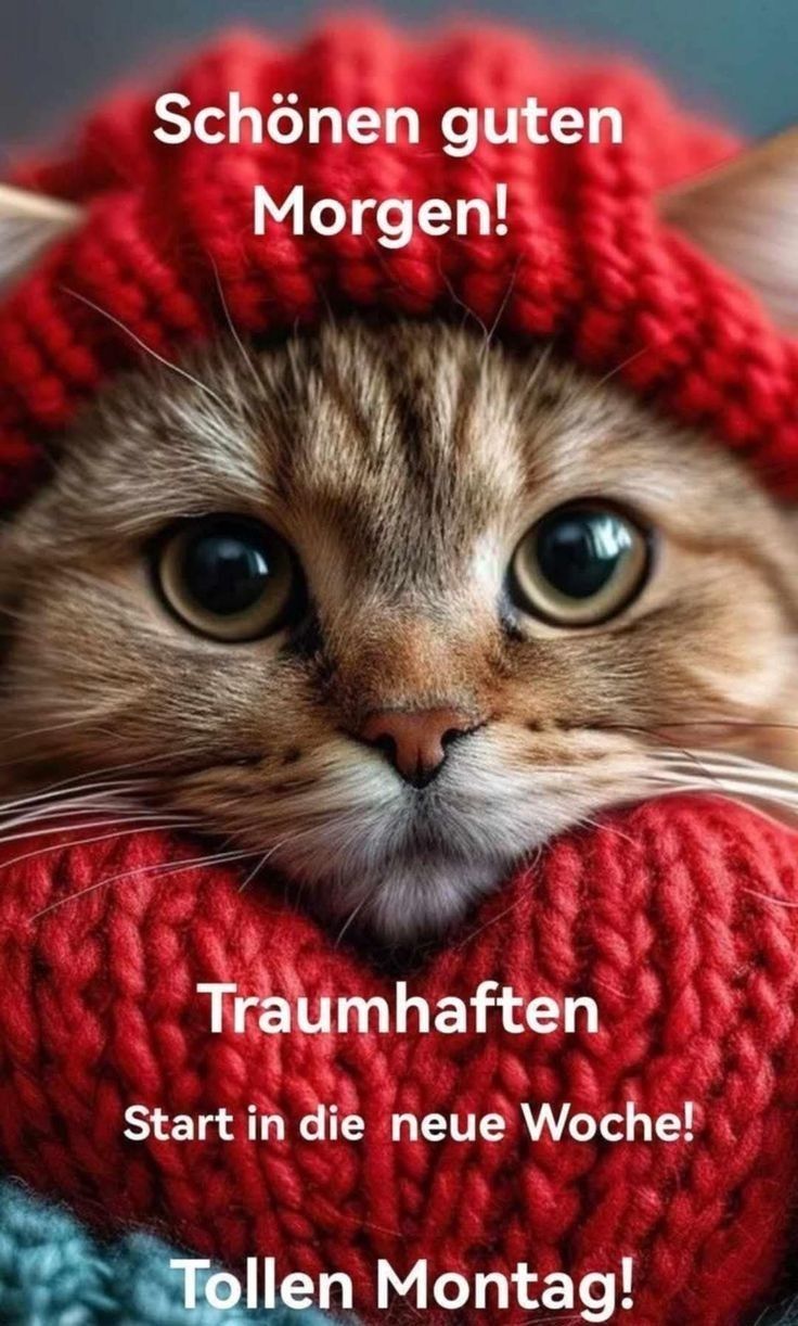 Schönen Montag Bilder 9
