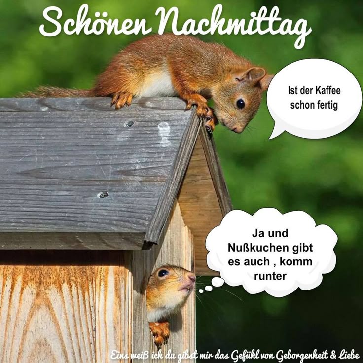 Schönen Nachmittag Bilder 1