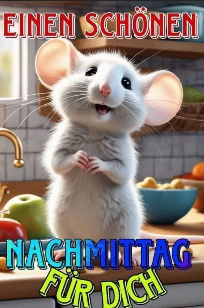 Schönen Nachmittag Bilder 100