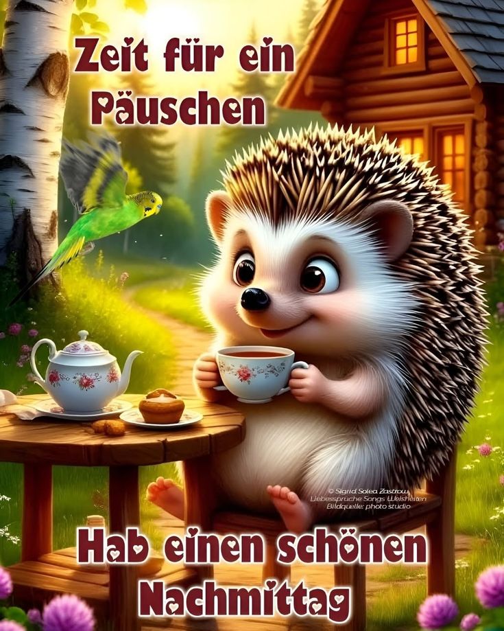 Schönen Nachmittag Bilder 102