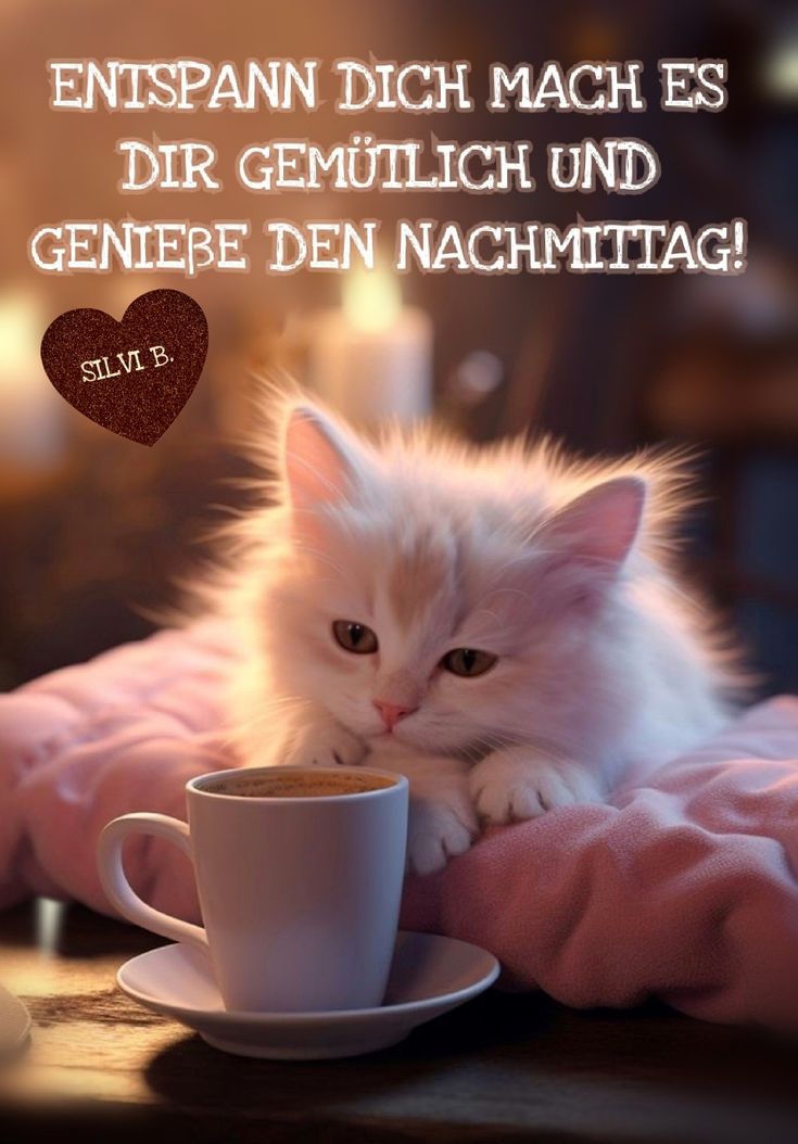 Schönen Nachmittag Bilder 105