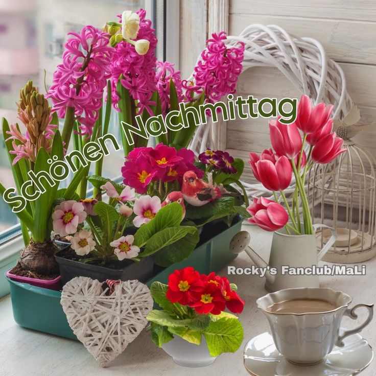 Schönen Nachmittag Bilder 109