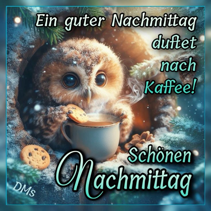 Schönen Nachmittag Bilder 110
