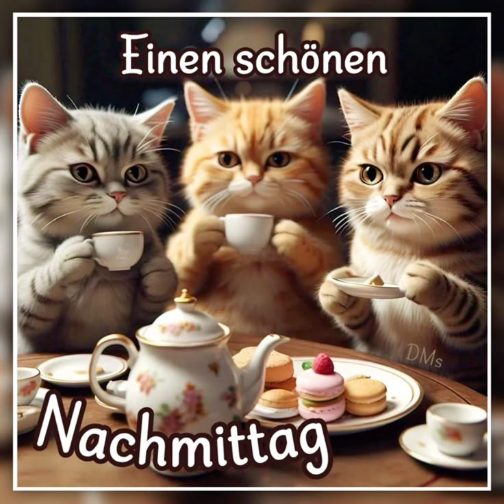 Schönen Nachmittag Bilder 115