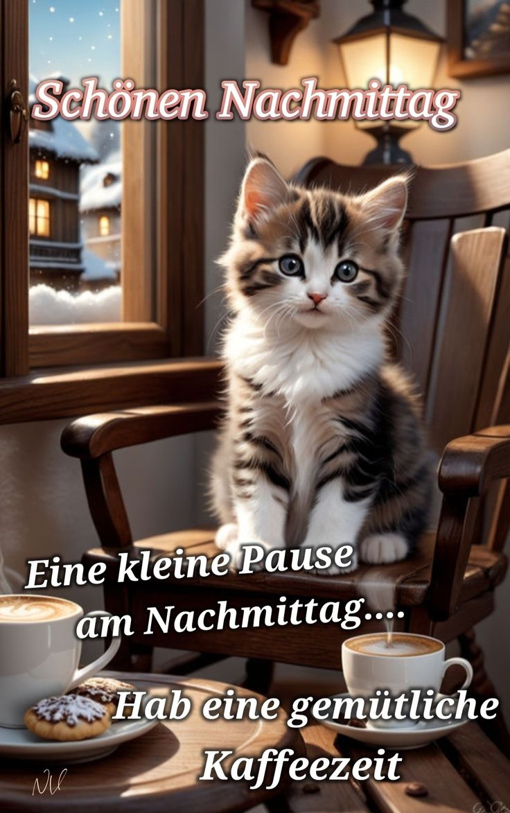 Schönen Nachmittag Bilder 119