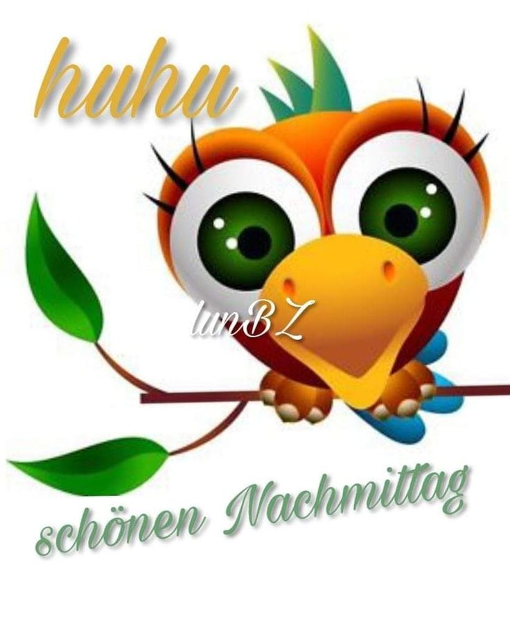 Schönen Nachmittag Bilder 120