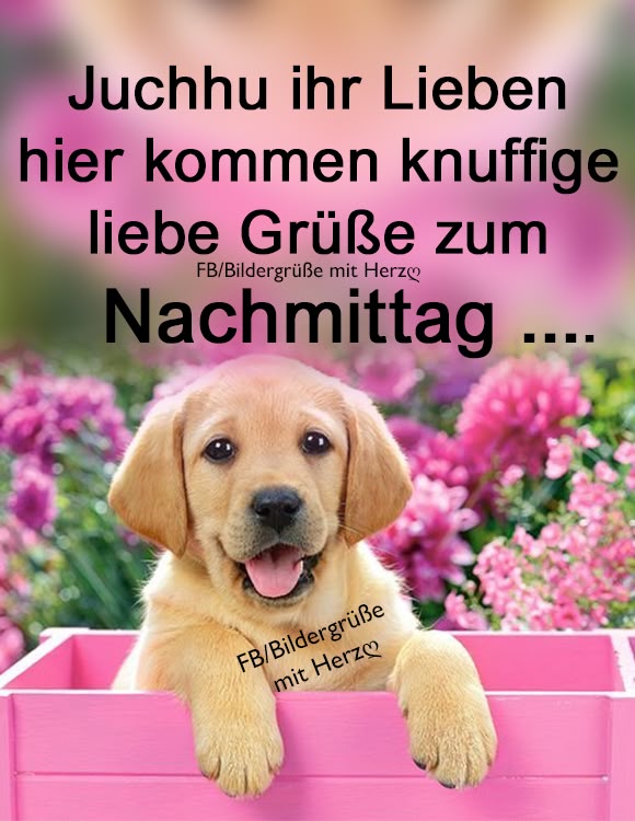 Schönen Nachmittag Bilder 122