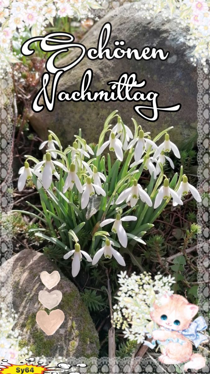 Schönen Nachmittag Bilder 25