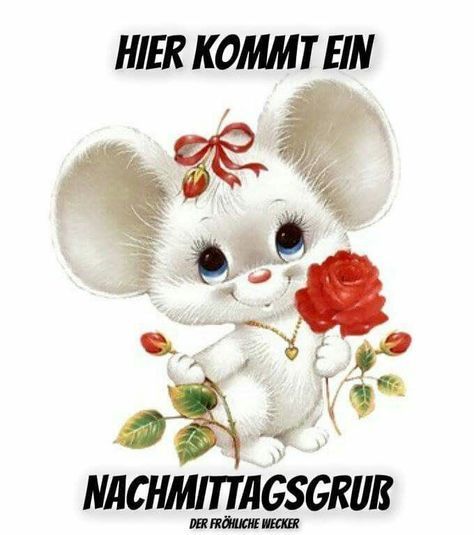 Schönen Nachmittag Bilder 26