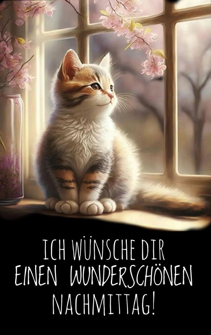 Schönen Nachmittag Bilder 39