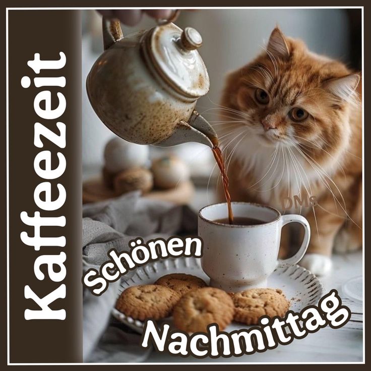 Schönen Nachmittag Bilder 55