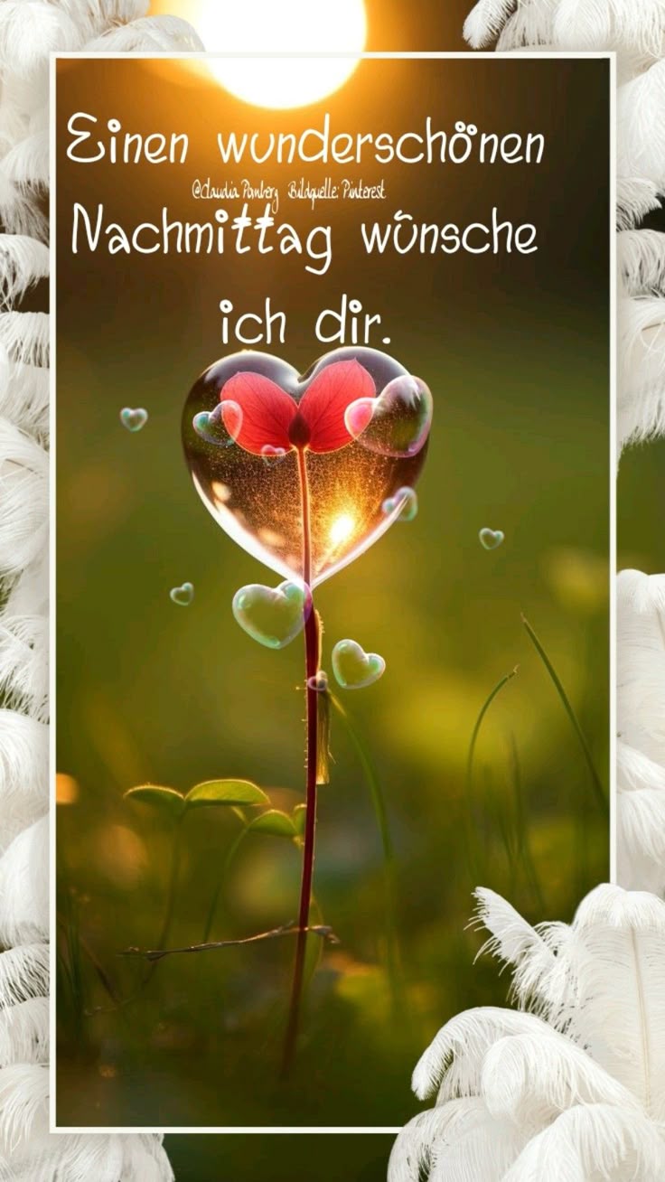 Schönen Nachmittag Bilder 64