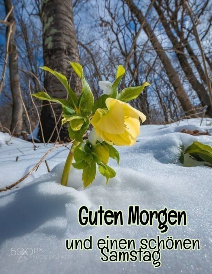 Schönen Samstag Bilder 10