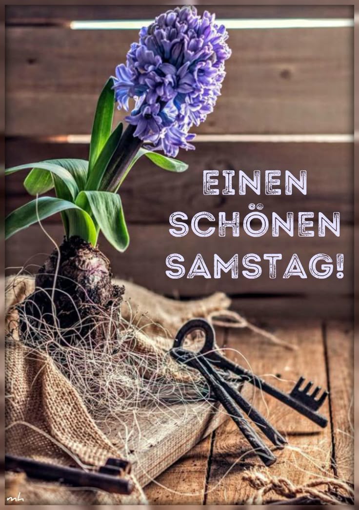 Schönen Samstag Bilder 103