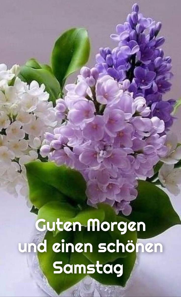 Schönen Samstag Bilder 110