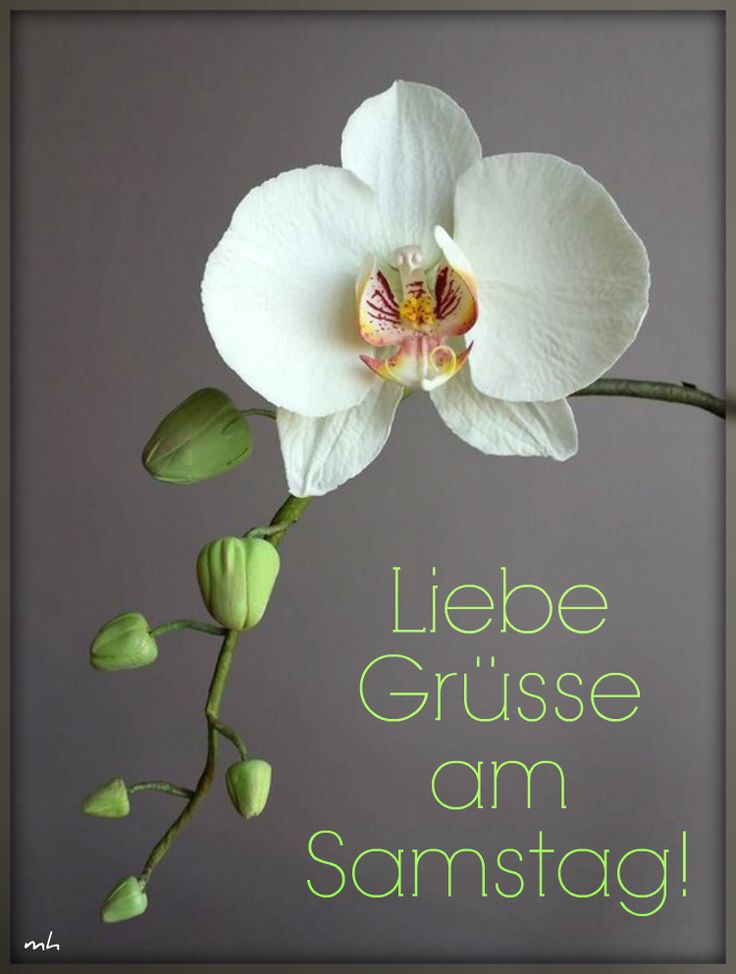 Schönen Samstag Bilder 132